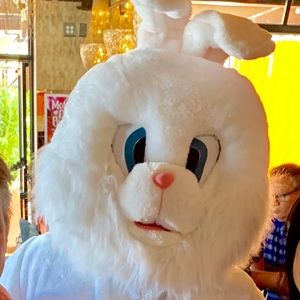 Meet your Posher, Walter